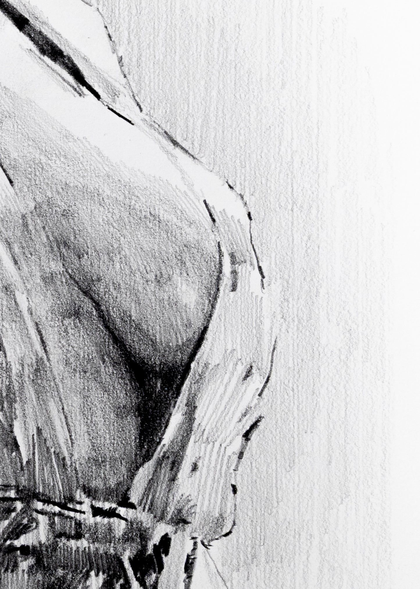 The General's Repose (Limited Edition Print)