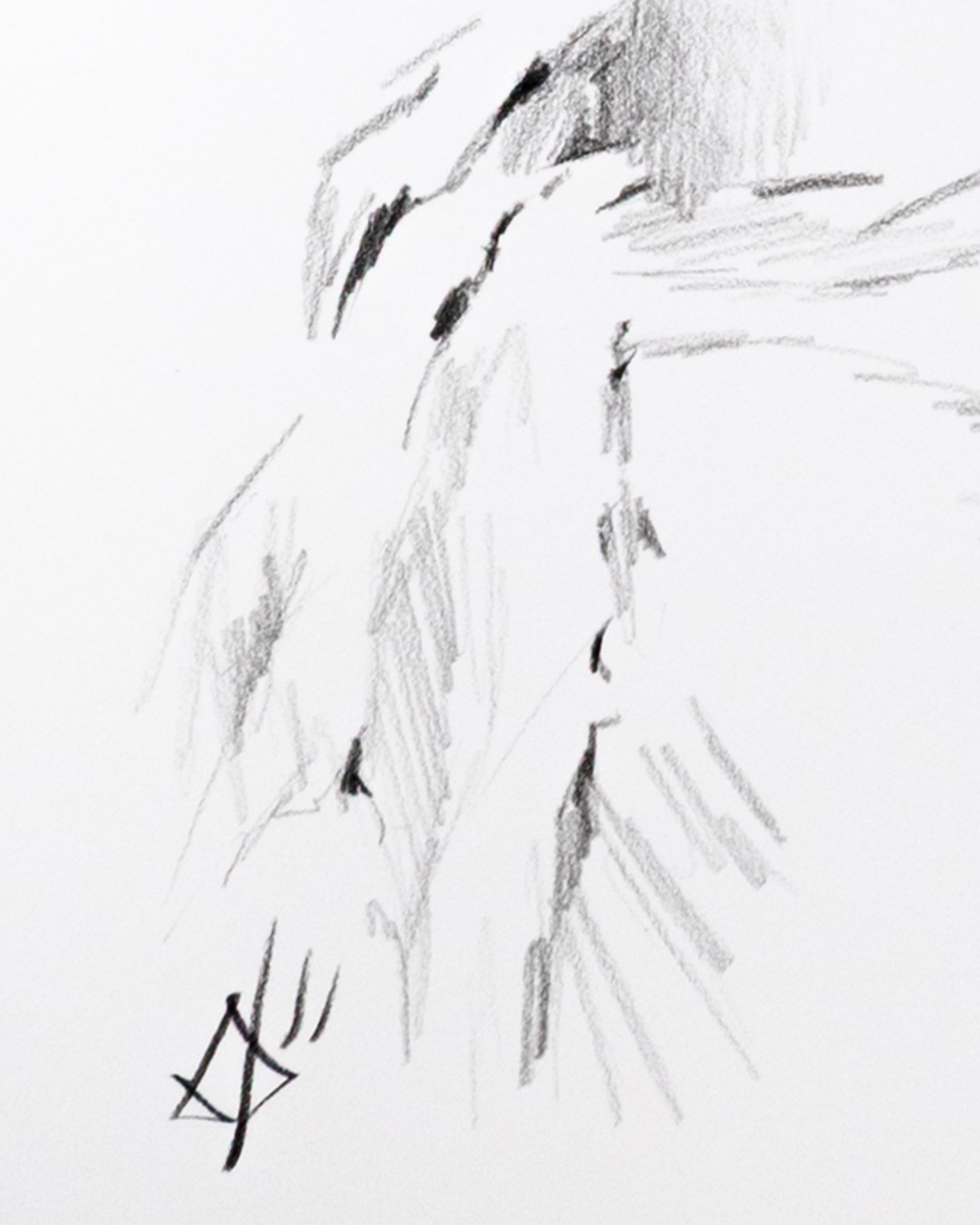 A Bloom in Winter (Limited Edition Print)