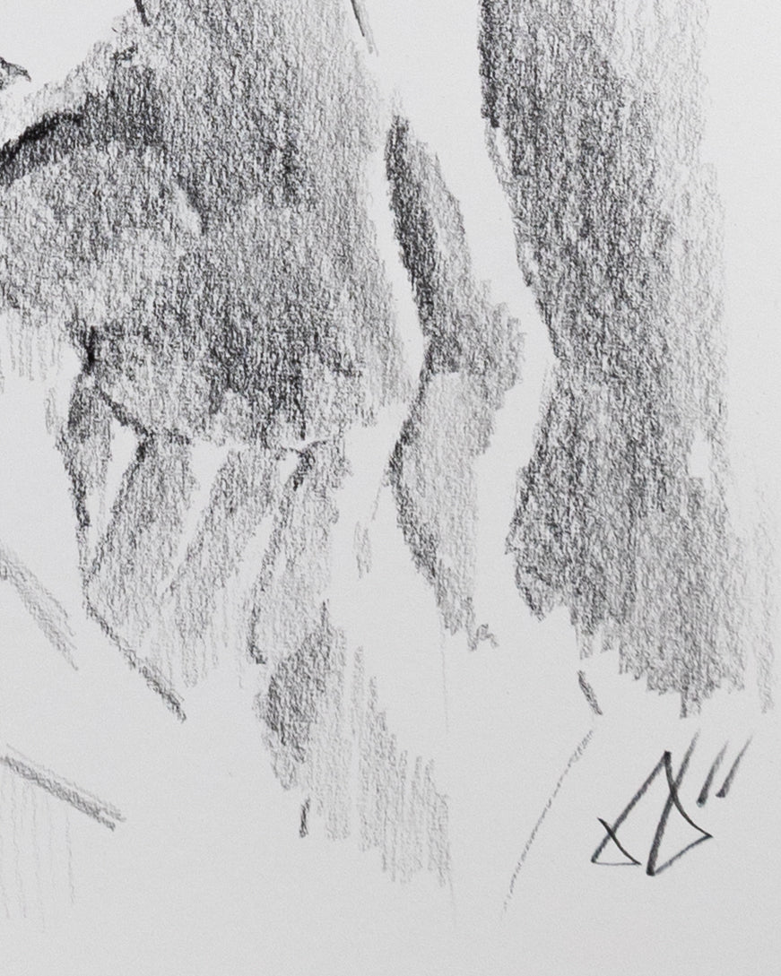A Heavy Tear in the Light (Limited Edition Print)