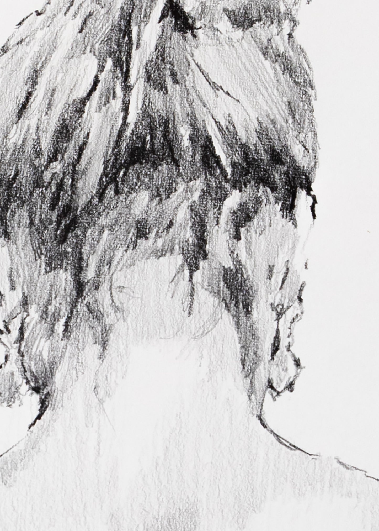 A Topographical Marvel (Limited Edition Print)