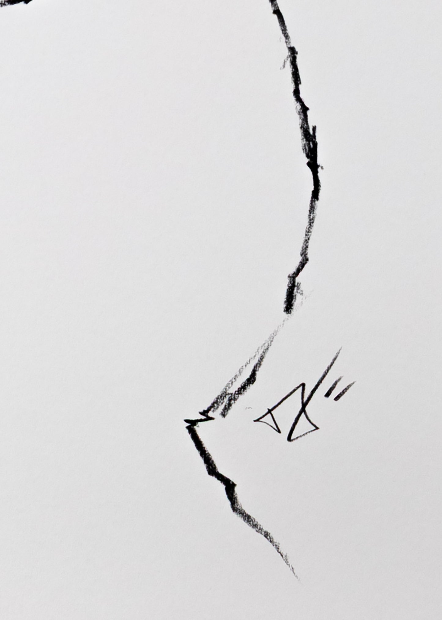 A Topographical Marvel (Limited Edition Print)