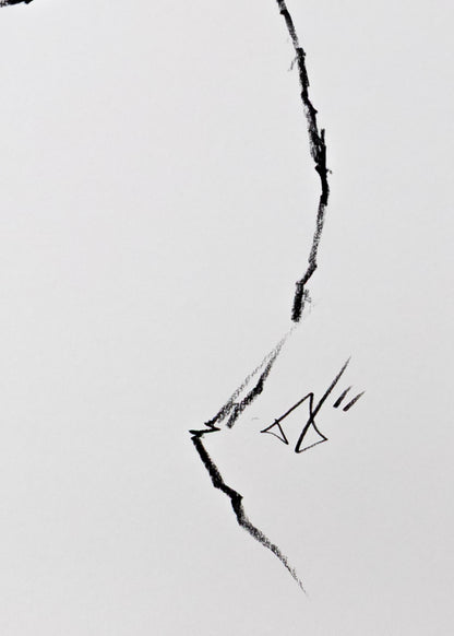 A Topographical Marvel (Limited Edition Print)